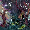DHVANI - Angustium [CD]