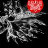 SONICATOMIC - Vibes Addiction [CD]